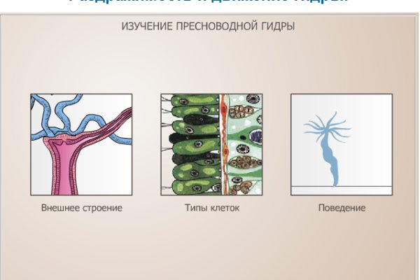 Кракен как войти