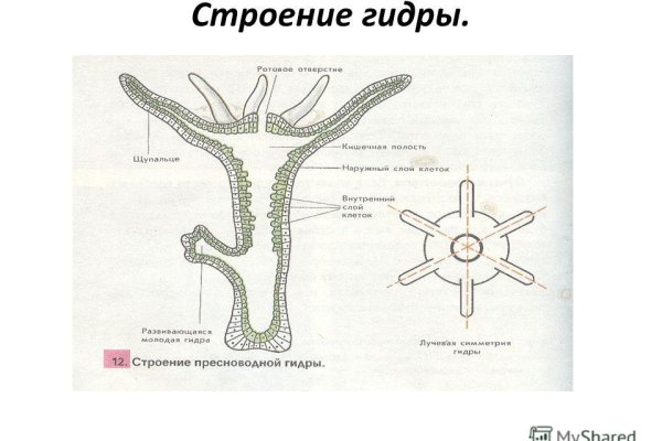 Кракен это сайт что продают