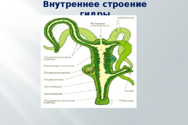 Kraken официальные зеркала