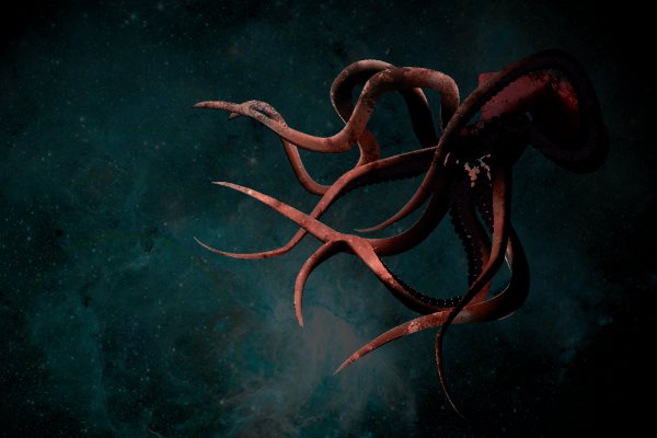 Регистрация в kraken