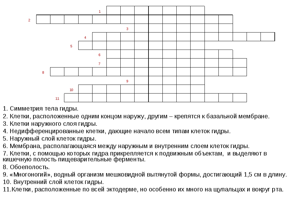 Кракен через тор браузер